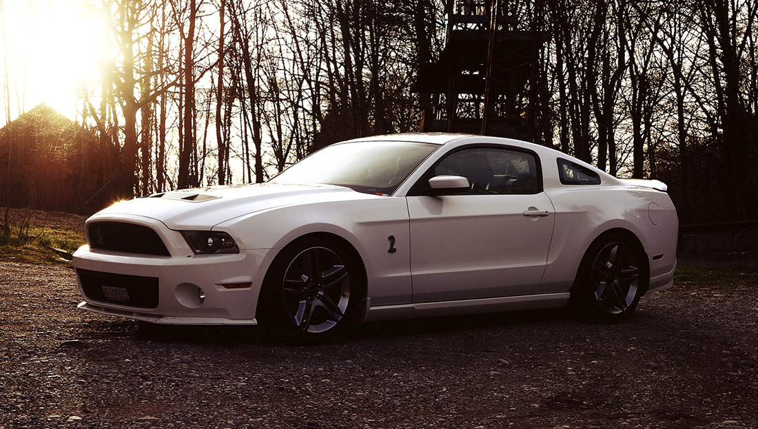 Shelby Mustang im Sonnenuntergang